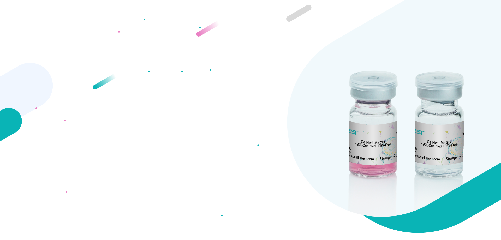 GelNest™ Matrigel