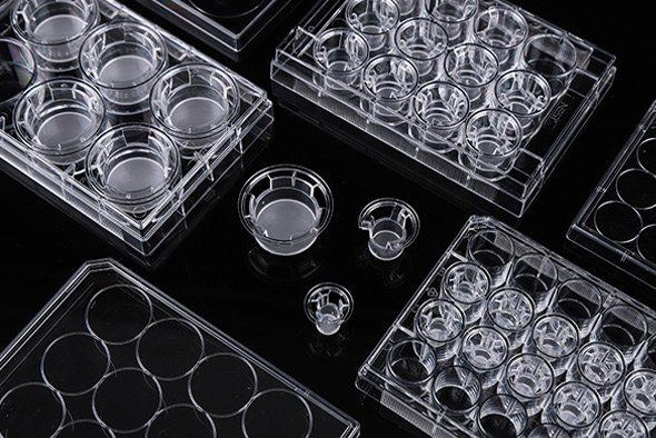 细胞小室培养板